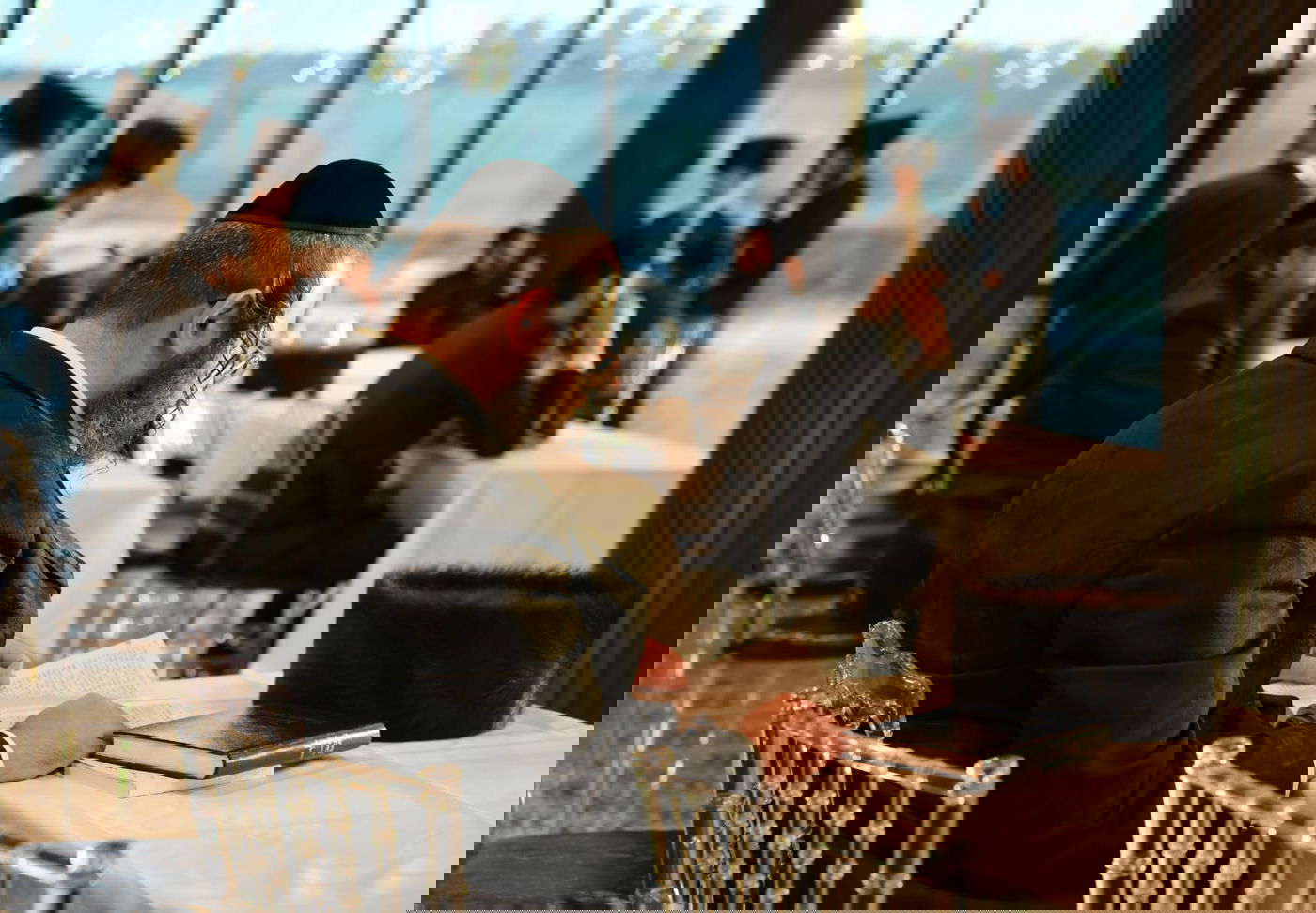 שבת התאחדות הגזלנים הקדושים