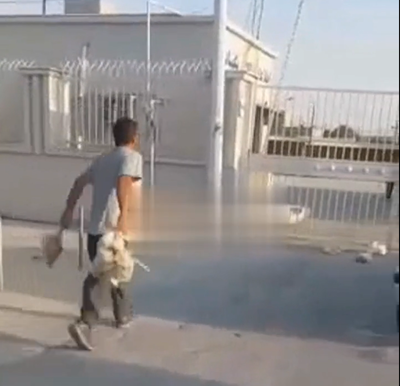 מגדל עופות איראני זרוק עופות בשערי חברת חשמל מקומית