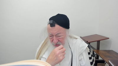 בואו לסיים ש"ס תוך שנה | השיעור היום: מסכת סנהדרין ט'-ט"ז