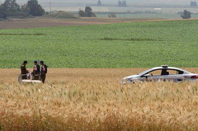 המשטרה הצבאית בפעולה