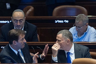 ביסמוט ואדלשטיין במליאה