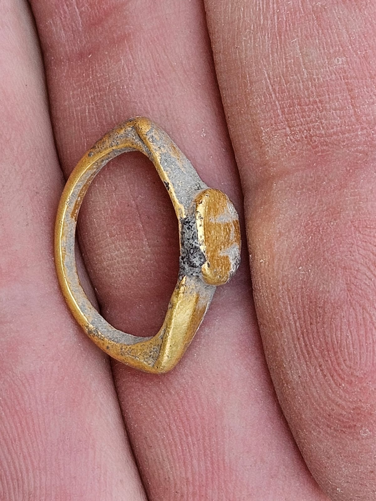 הממצאים שהתגלו במקום