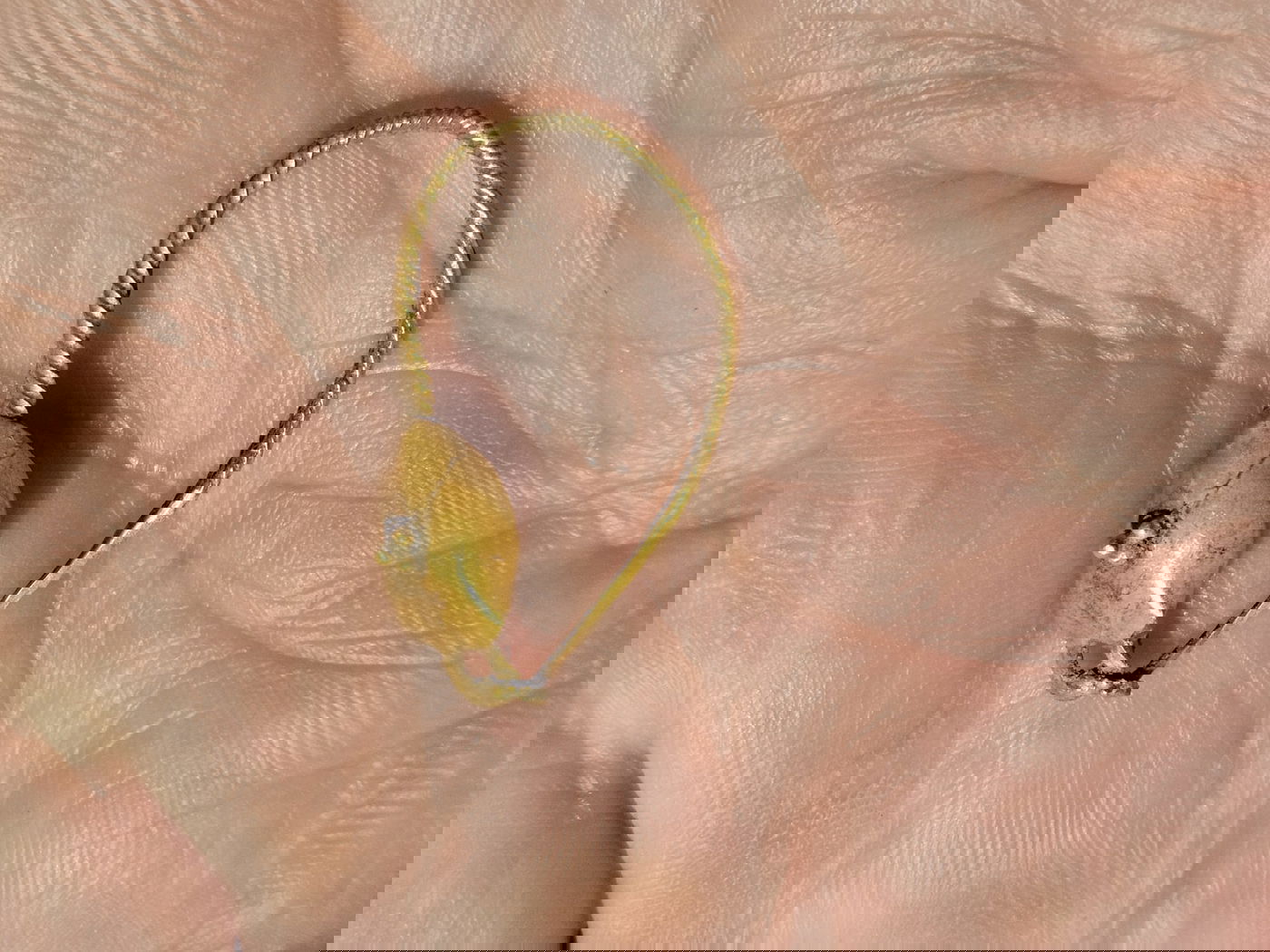 הממצאים שהתגלו במקום