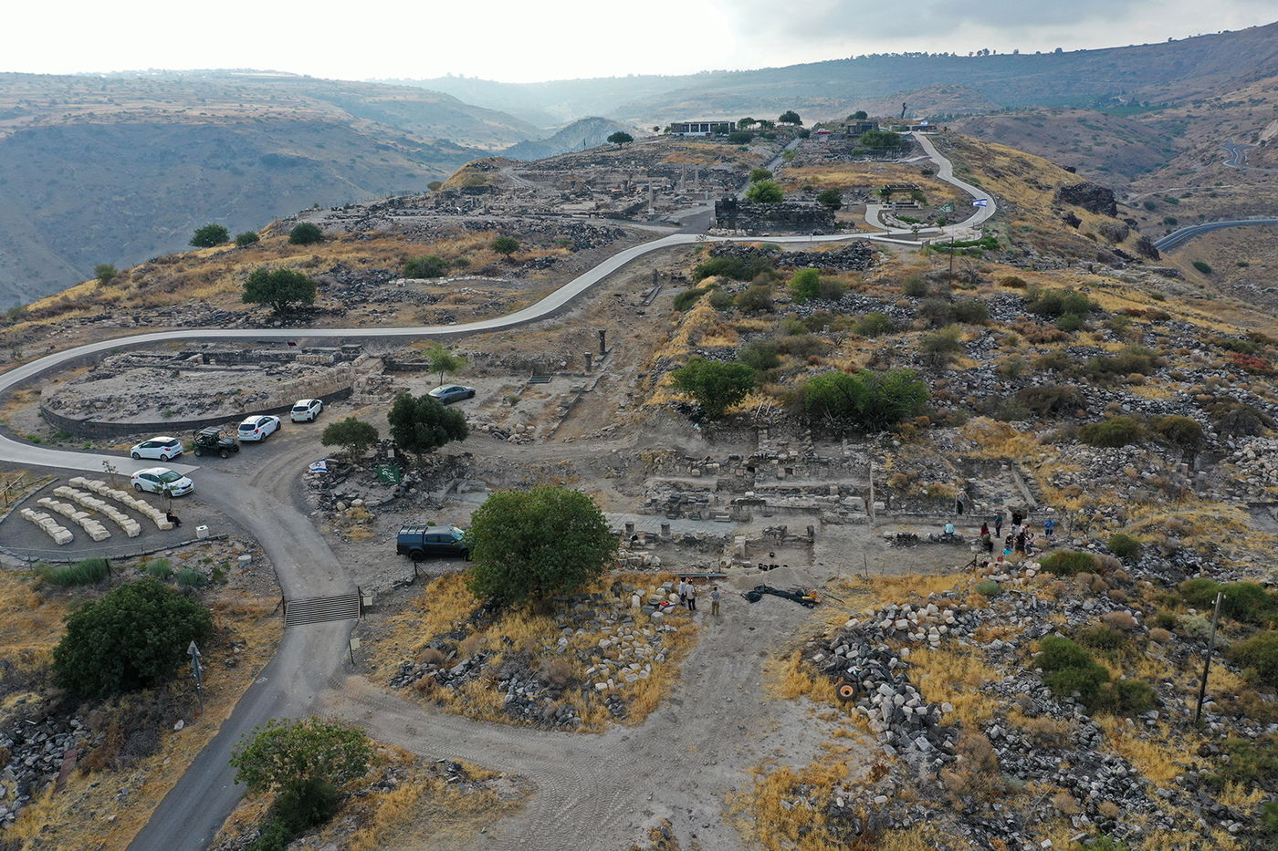 הממצאים שהתגלו במקום