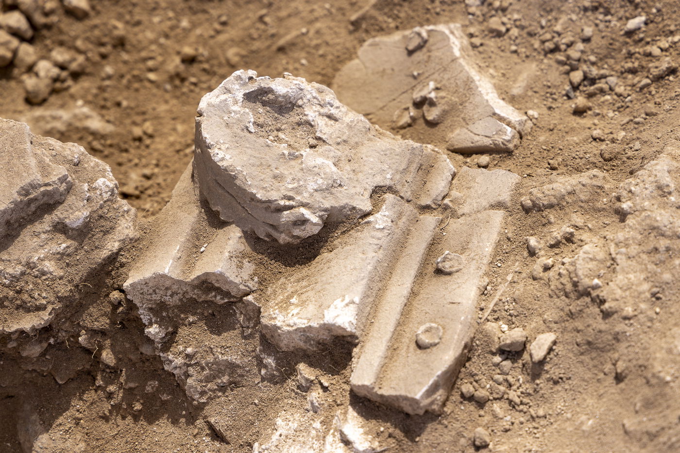 הממצאים שהתגלו במקום