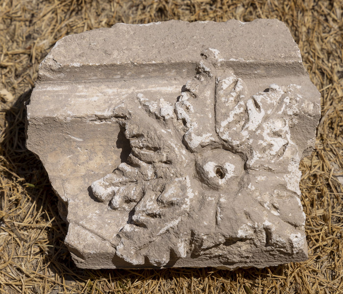 הממצאים שהתגלו במקום