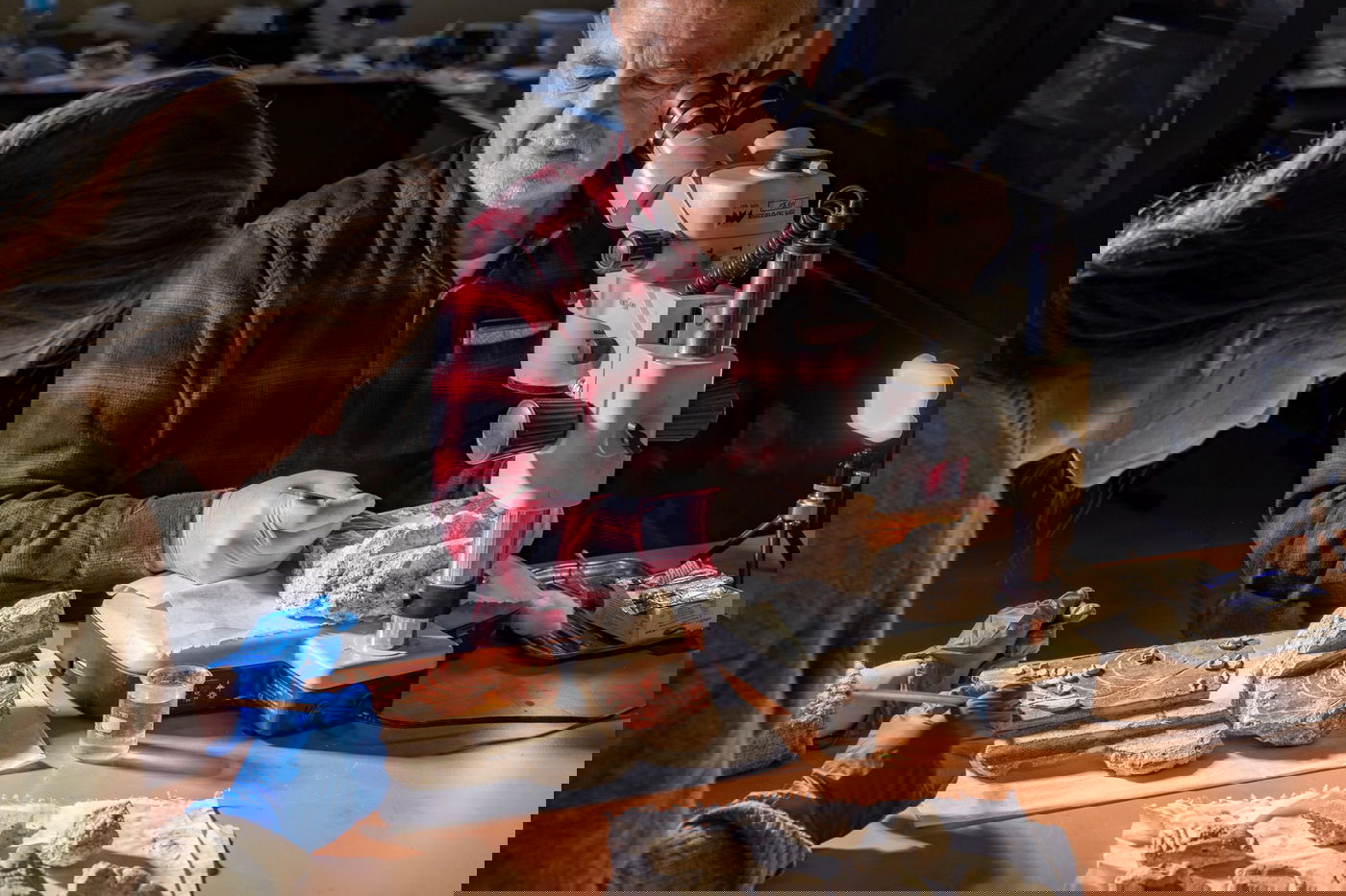 הממצאים שהתגלו במקום