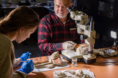 הממצאים שהתגלו במקום