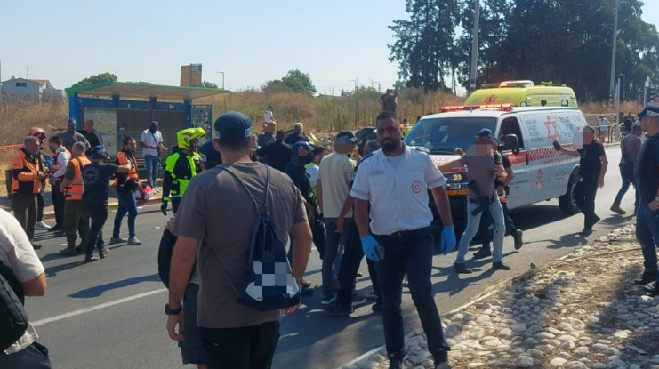 זירת הדריסה