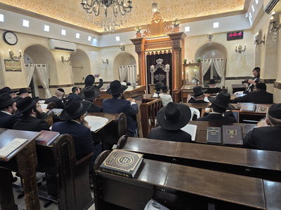 הילולת הגרי"ש אלישיב