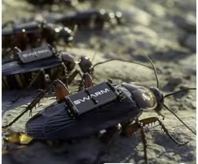 תיקני סייבורג בשירות צבא גרמניה