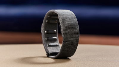 הרצועה של מטא