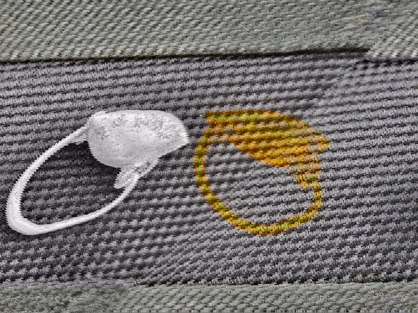 הממצאים שהתגלו במקום