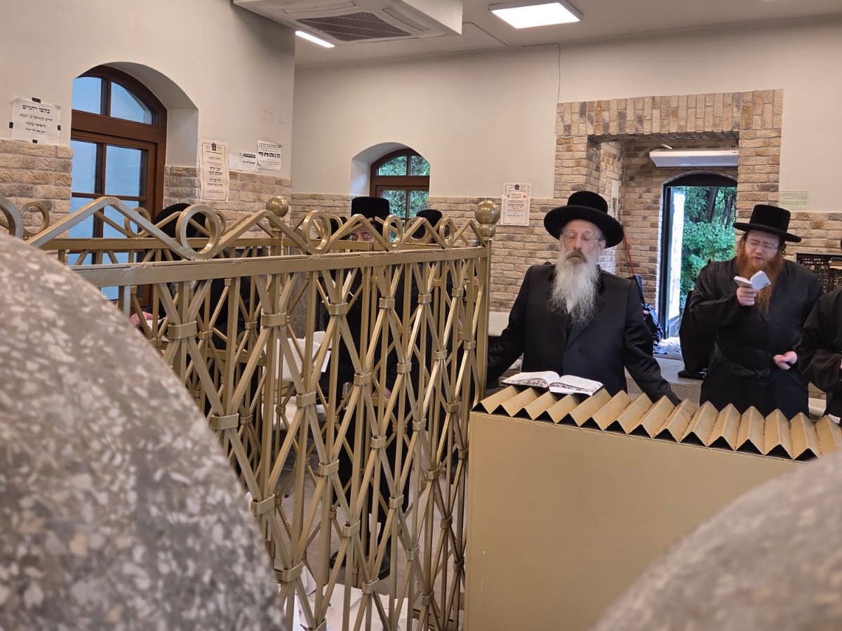 הגה"צ רבי יהושע רובין, אב"ד באבוב 45 במסע הקודש באירופה