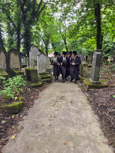 הגה"צ רבי יהושע רובין, אב"ד באבוב 45 במסע הקודש באירופה