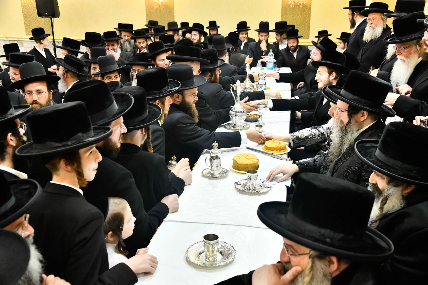 שמחת בית טעמשוואר אלעד - קרלין סטולין - דז'יקוב ויזניץ