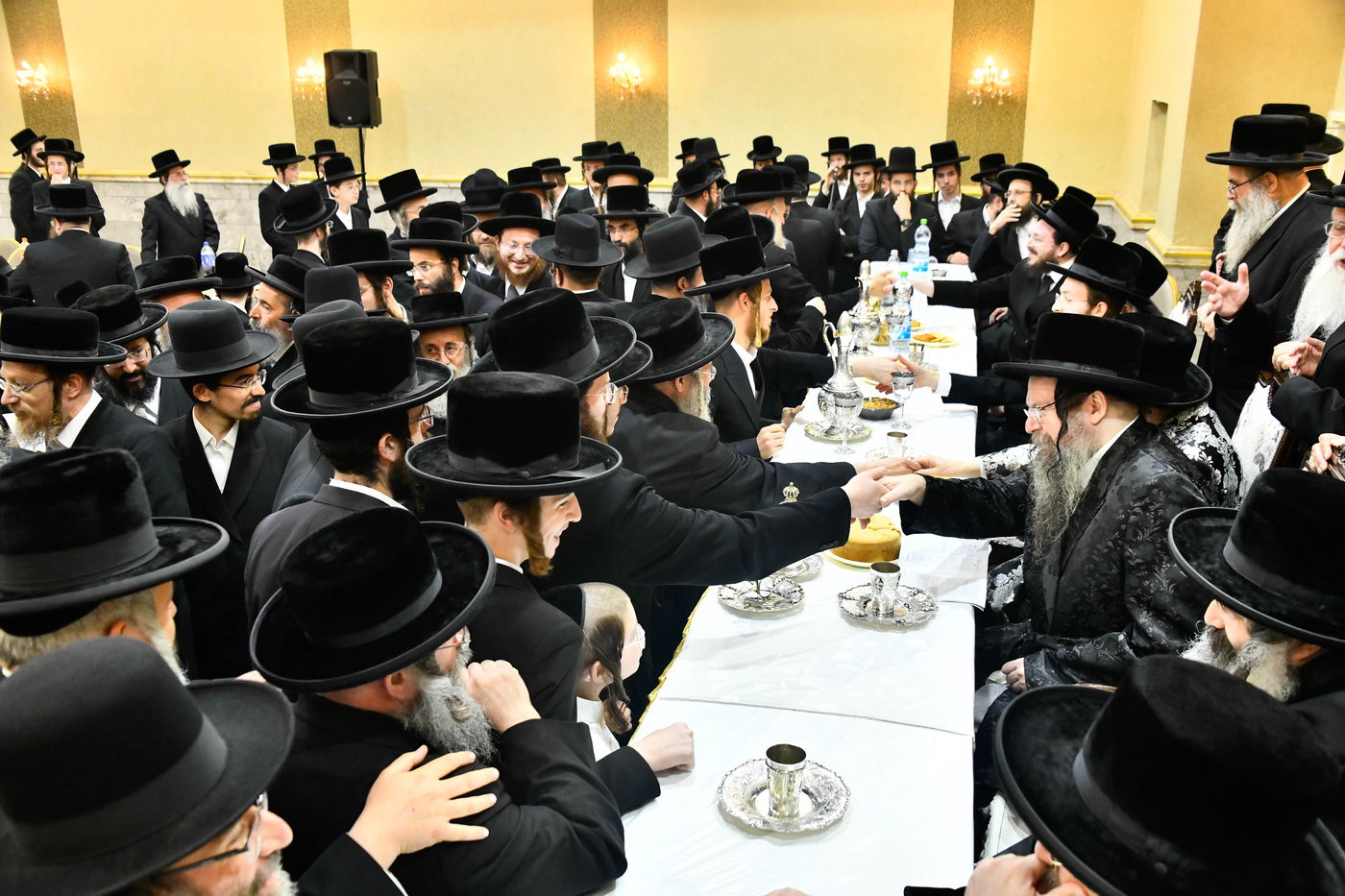 שמחת בית טעמשוואר אלעד - קרלין סטולין - דז'יקוב ויזניץ