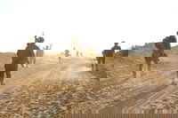 פעילות לוחמי צה"ל ברצועת עזה 