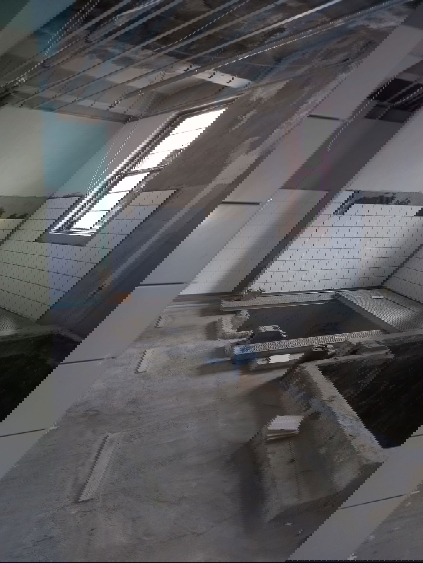 הקמת מקווה טהרה בבודפשט שבהונגריה