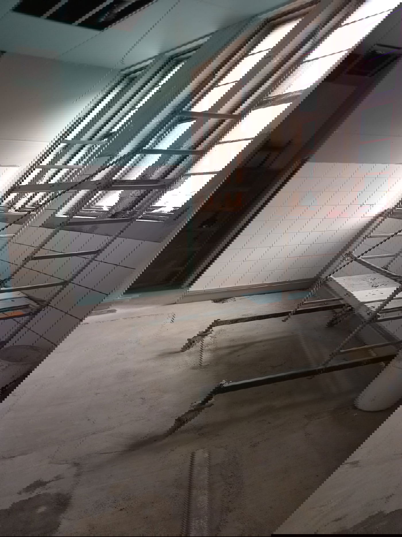 הקמת מקווה טהרה בבודפשט שבהונגריה