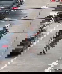 שישה הרוגים לפחות באירוע ירי בשוק אוכל בתאילנד | תיעוד מהזירה