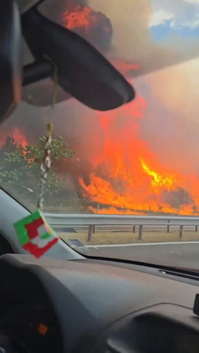 "מעולם לא ראיתי דבר כזה" | שריפות ענק חורכות את בולגריה; אלפי דונמים בוערים