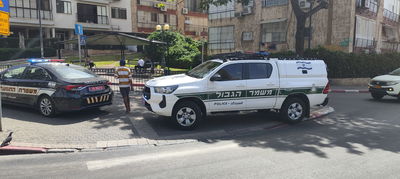 פעילות משטרתית