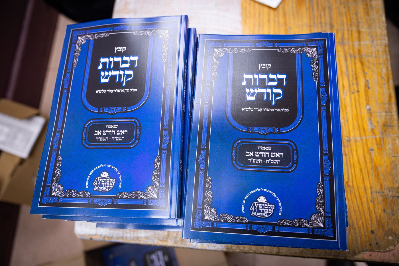 הילולא קדישא בבאבוב 45