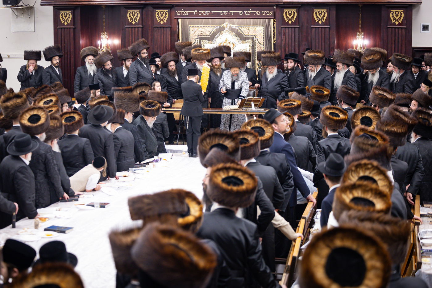 הילולא קדישא בבאבוב 45