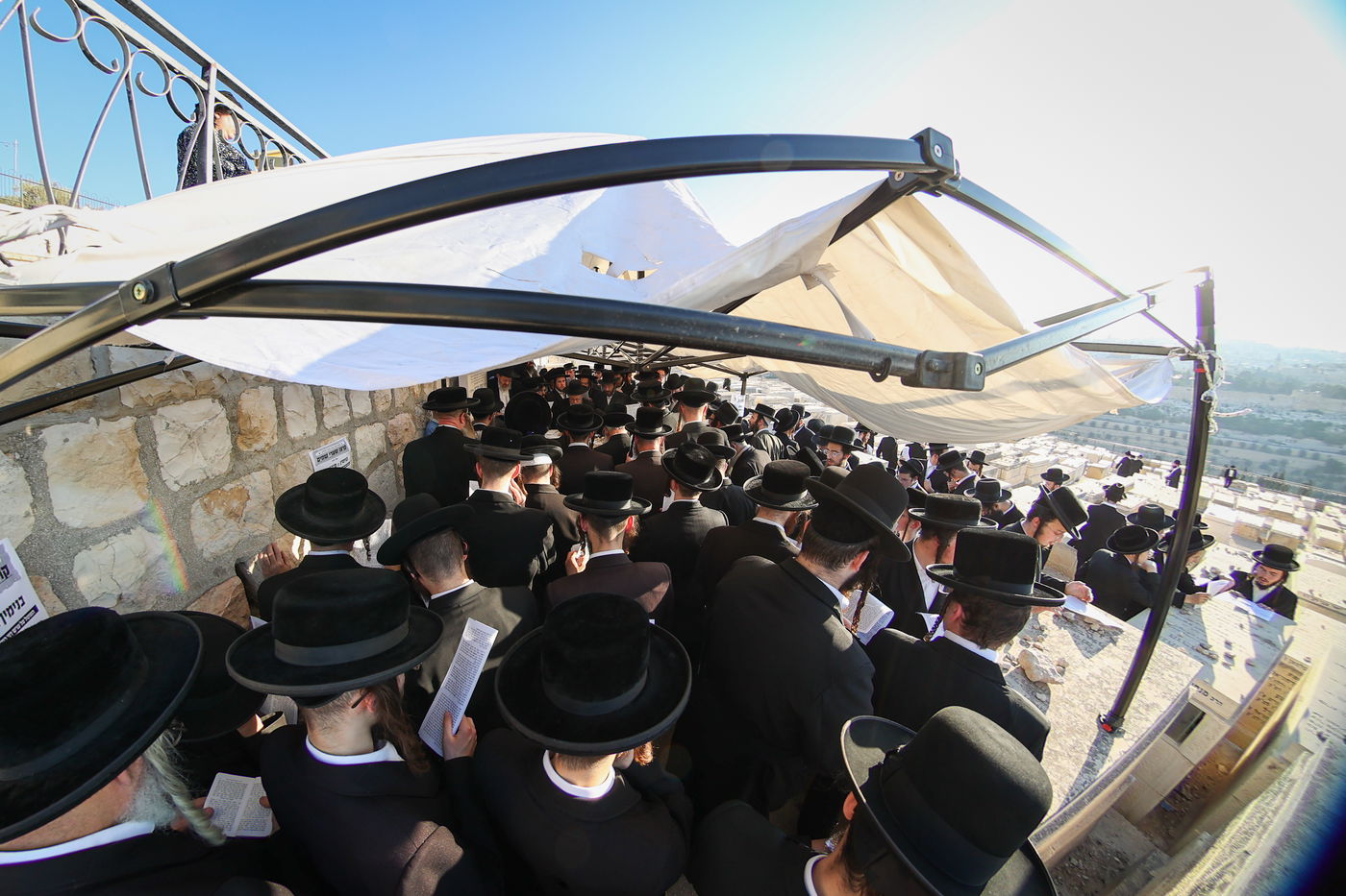 הילולת הגרי"ט וייס זצ"ל