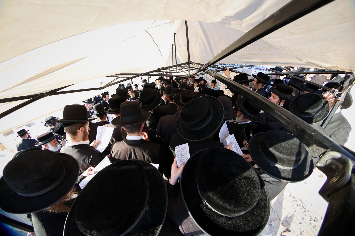 הילולת הגרי"ט וייס זצ"ל