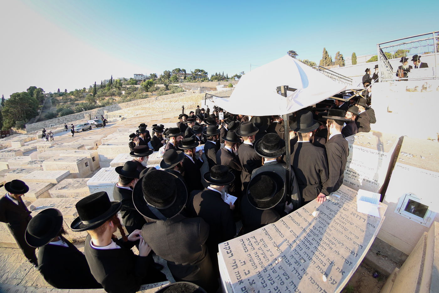 הילולת הגרי"ט וייס זצ"ל