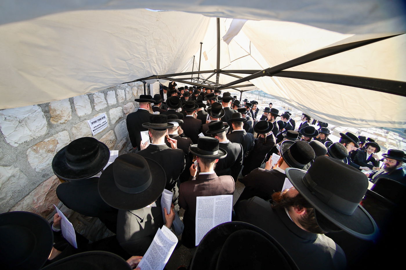 הילולת הגרי"ט וייס זצ"ל