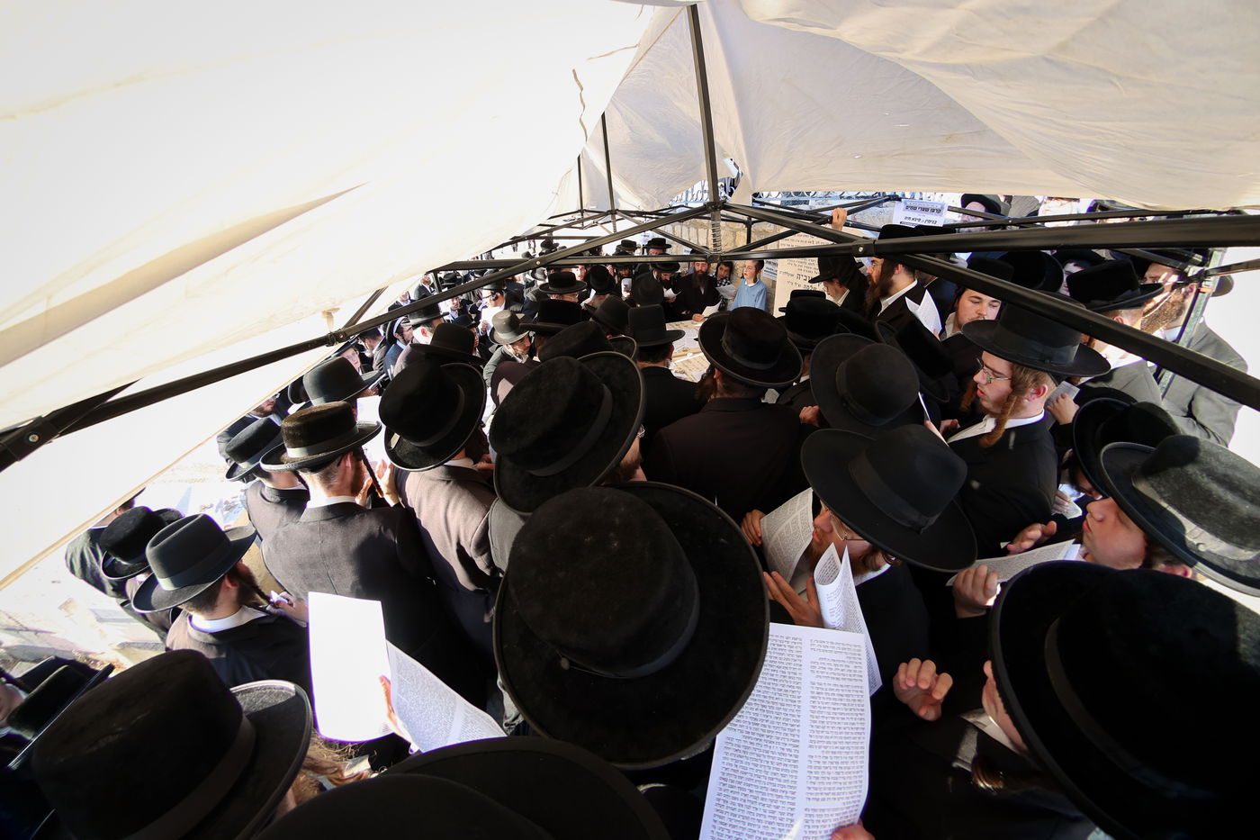 הילולת הגרי"ט וייס זצ"ל