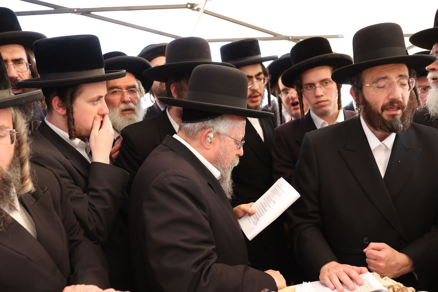 הילולת הגרי"ט וייס זצ"ל