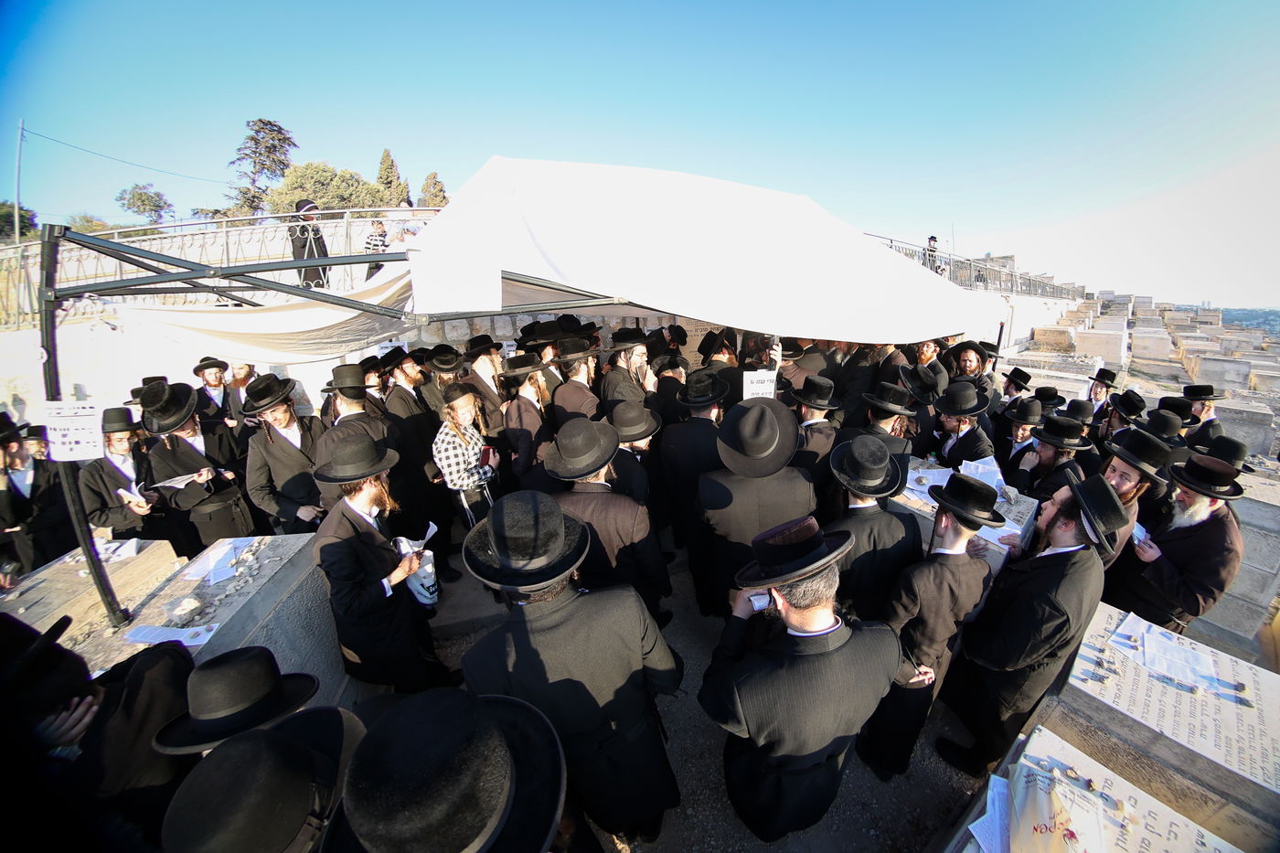 הילולת הגרי"ט וייס זצ"ל