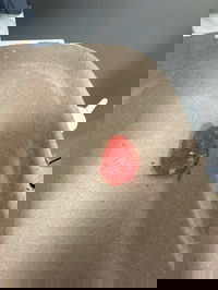 פרוסת האבטיח שחולצה