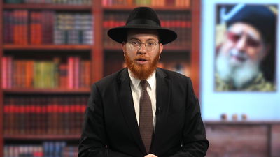 בין הזמנים: האם 'על האש' בפארק ציבורי נחשב כאכילה בשוק? • צפו