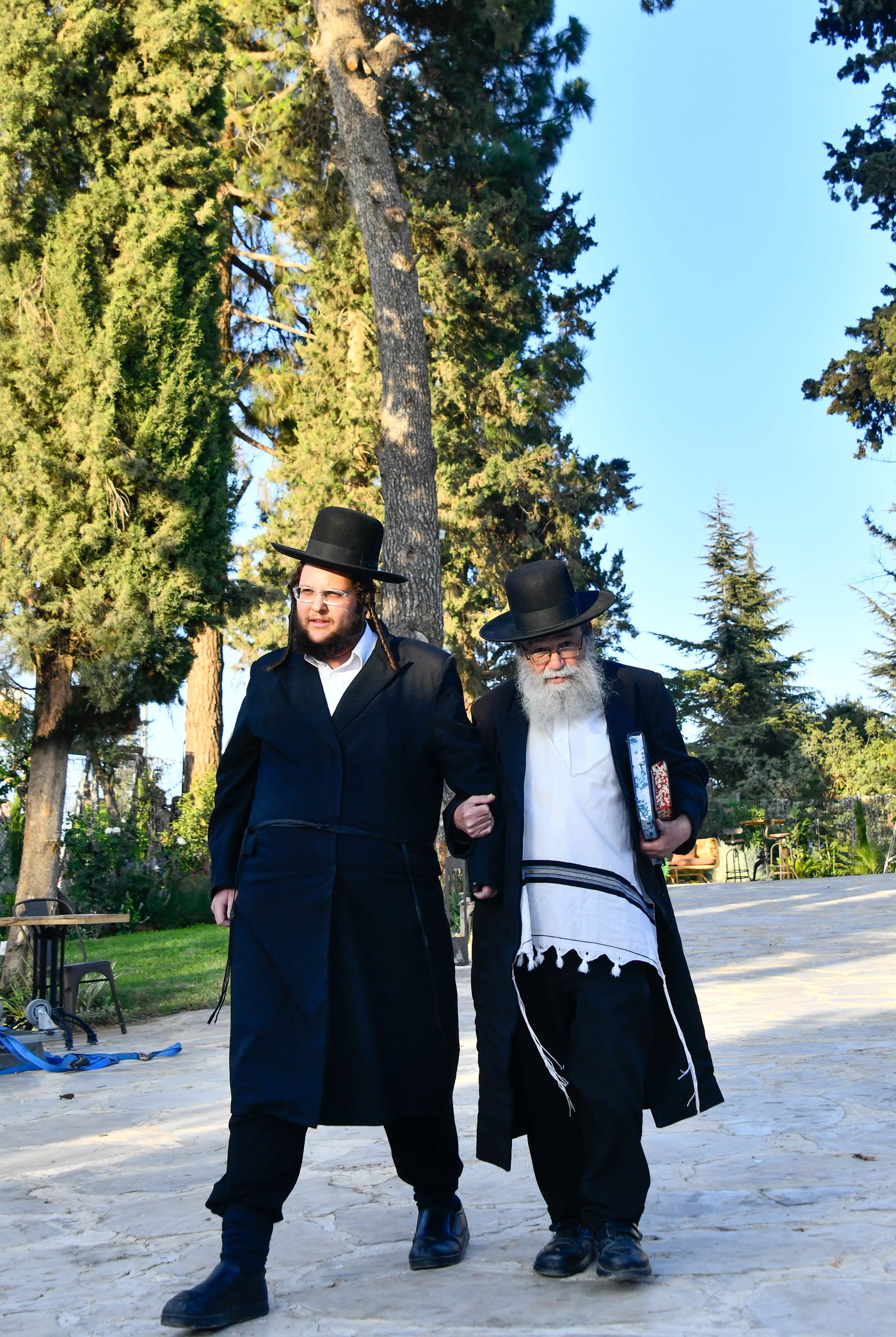 האדמו"רים בנאות דשא במעלה החמישה