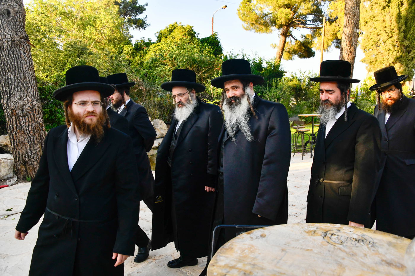 האדמו"רים בנאות דשא במעלה החמישה