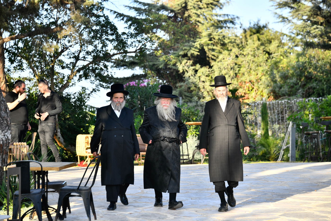 האדמו"רים בנאות דשא במעלה החמישה