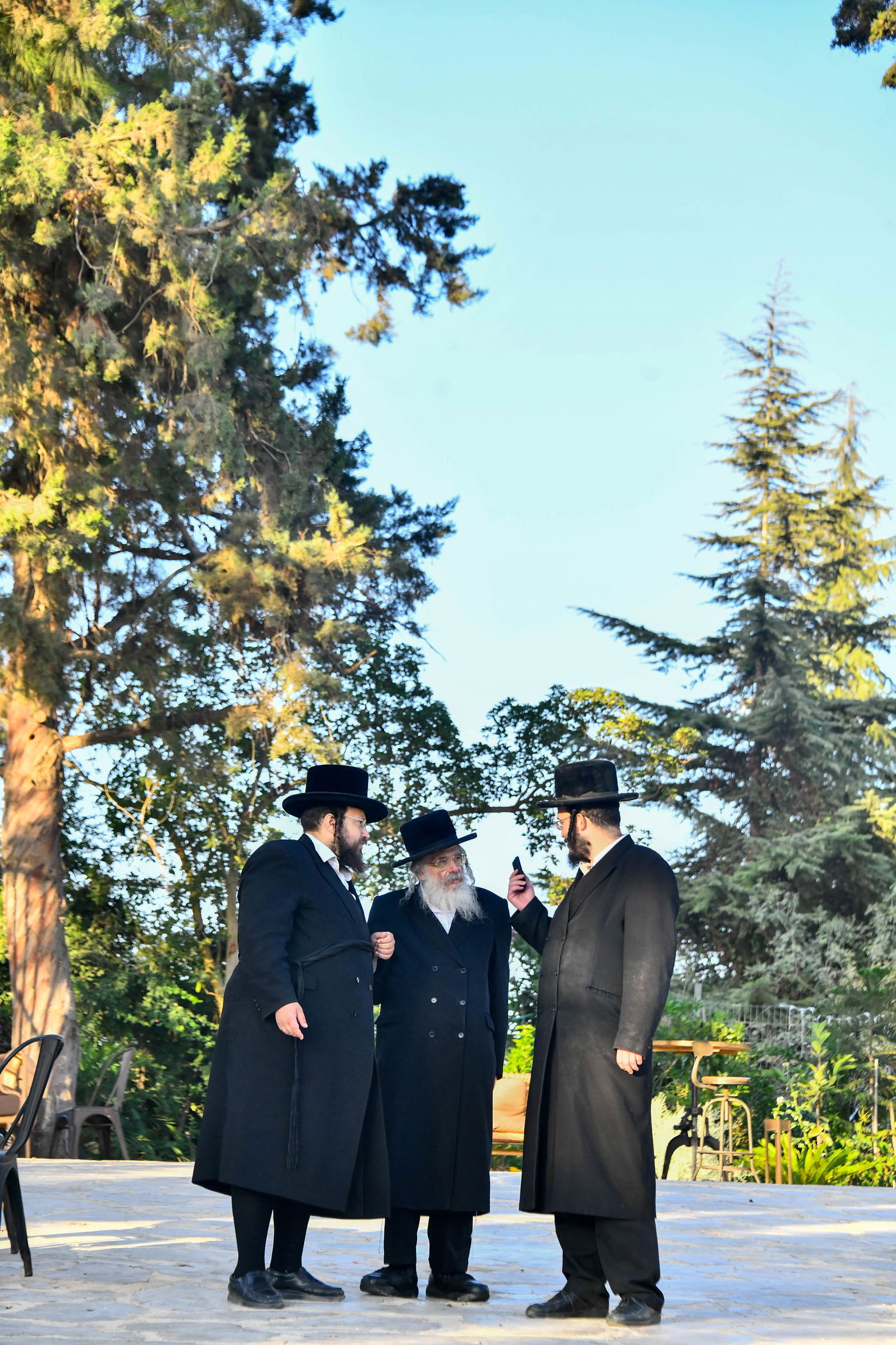 האדמו"רים בנאות דשא במעלה החמישה