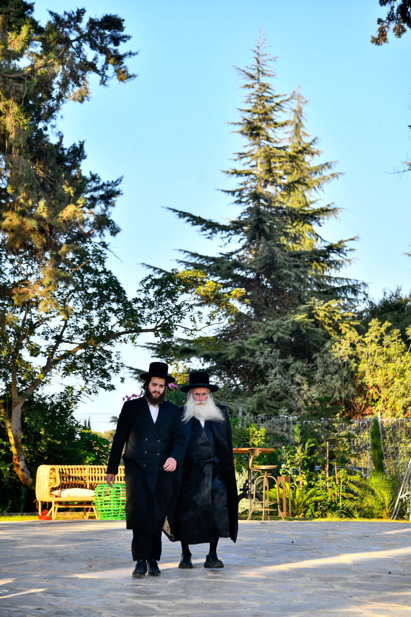 האדמו"רים בנאות דשא במעלה החמישה