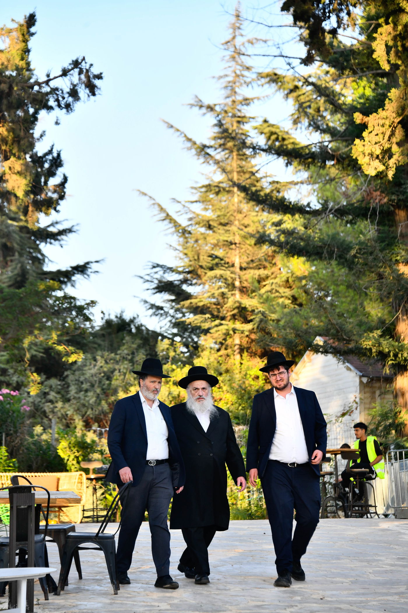 האדמו"רים בנאות דשא במעלה החמישה