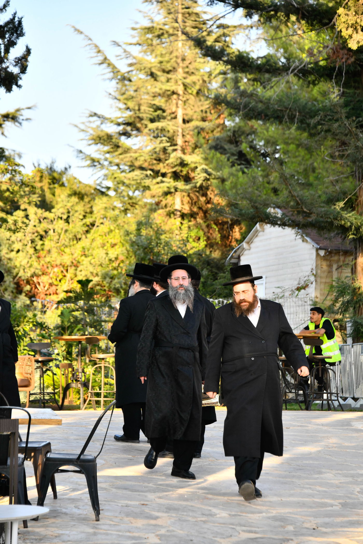 האדמו"רים בנאות דשא במעלה החמישה