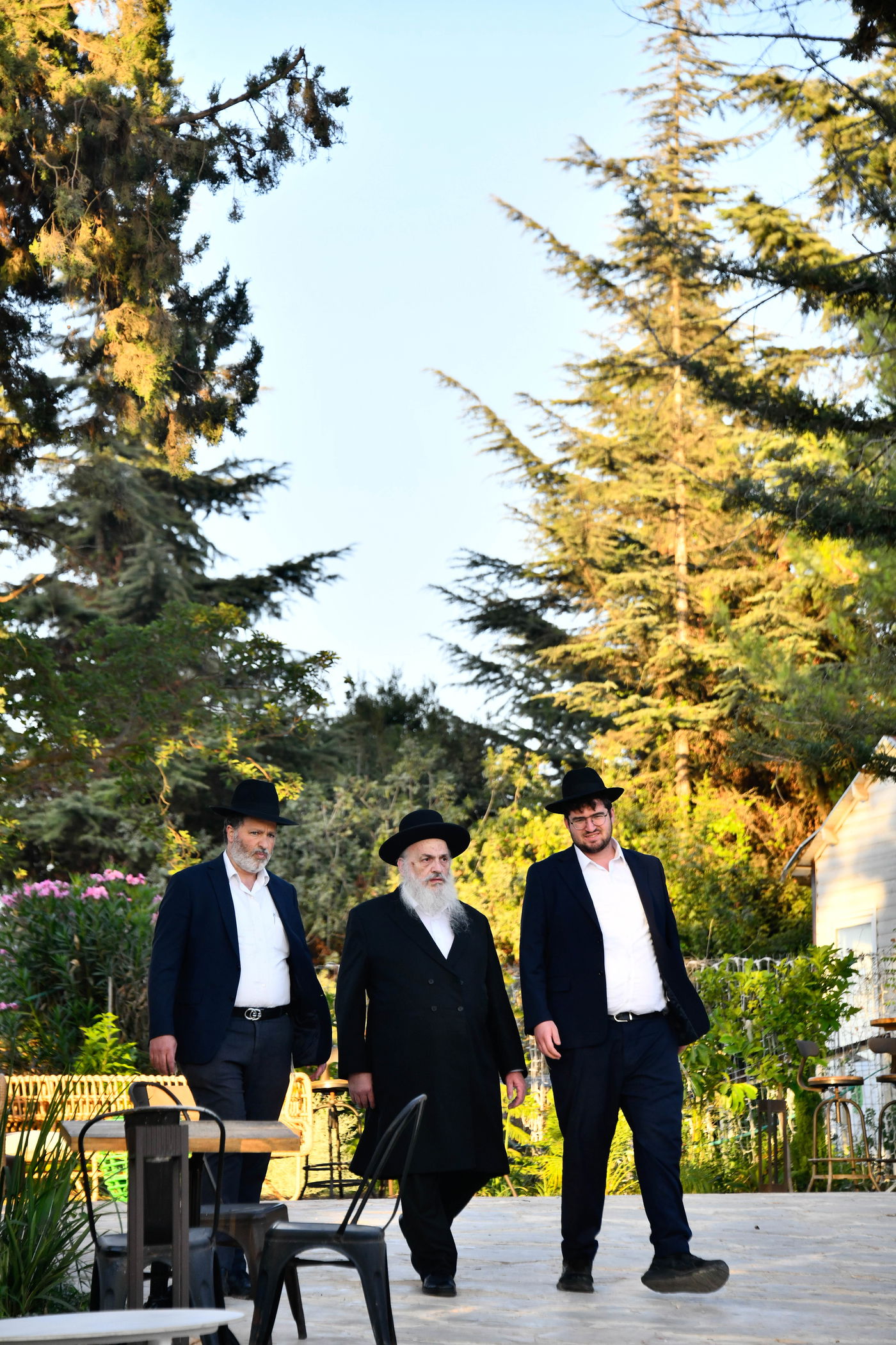 האדמו"רים בנאות דשא במעלה החמישה