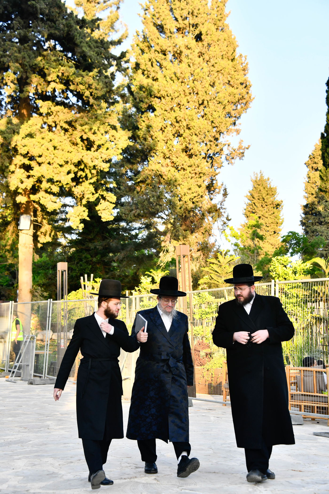 האדמו"רים בנאות דשא במעלה החמישה