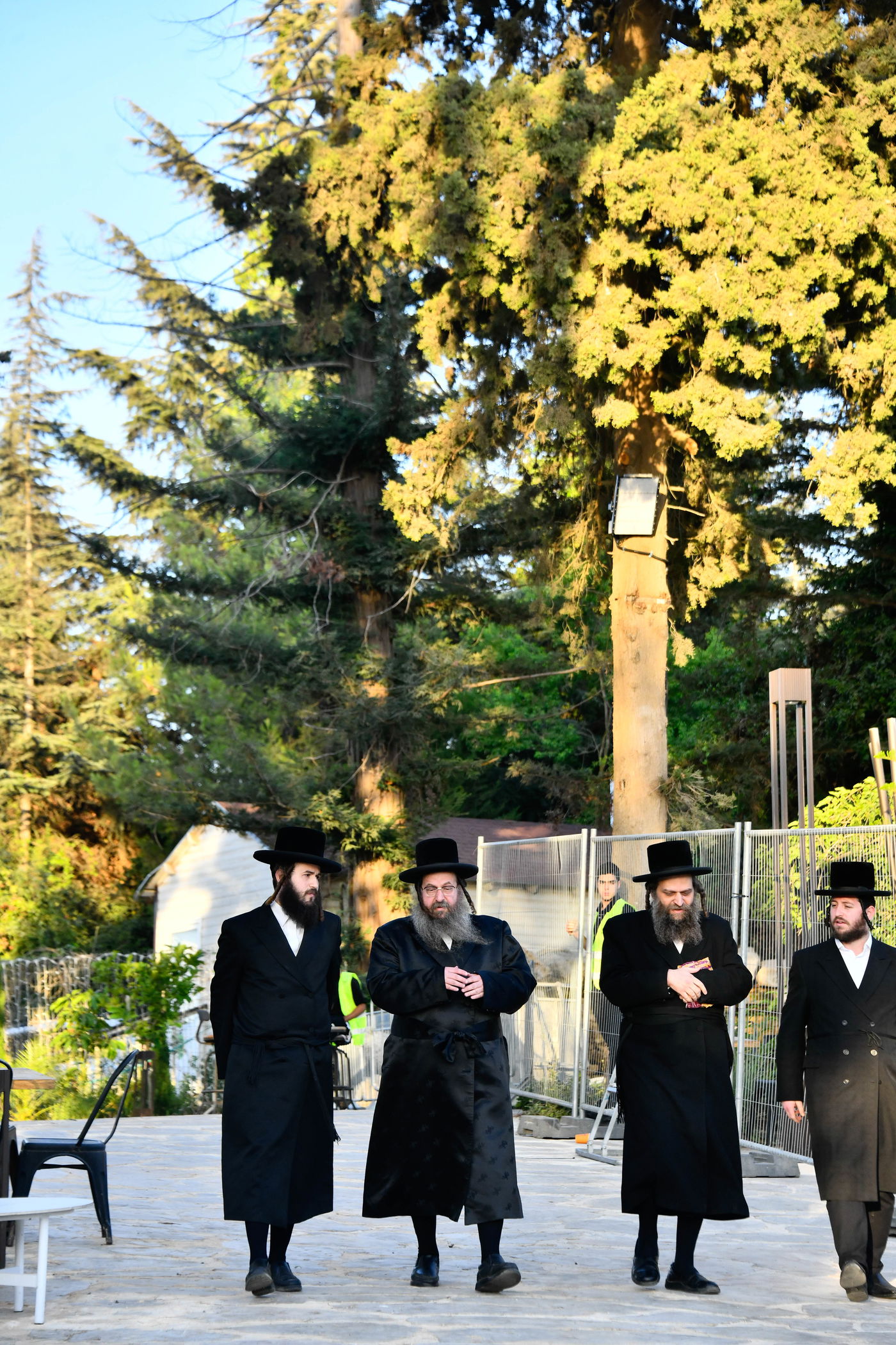 האדמו"רים בנאות דשא במעלה החמישה