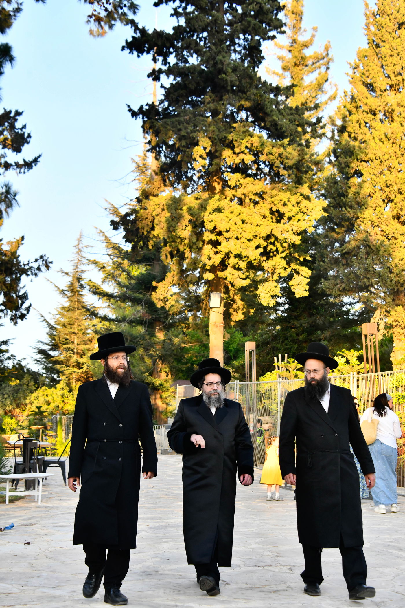 האדמו"רים בנאות דשא במעלה החמישה