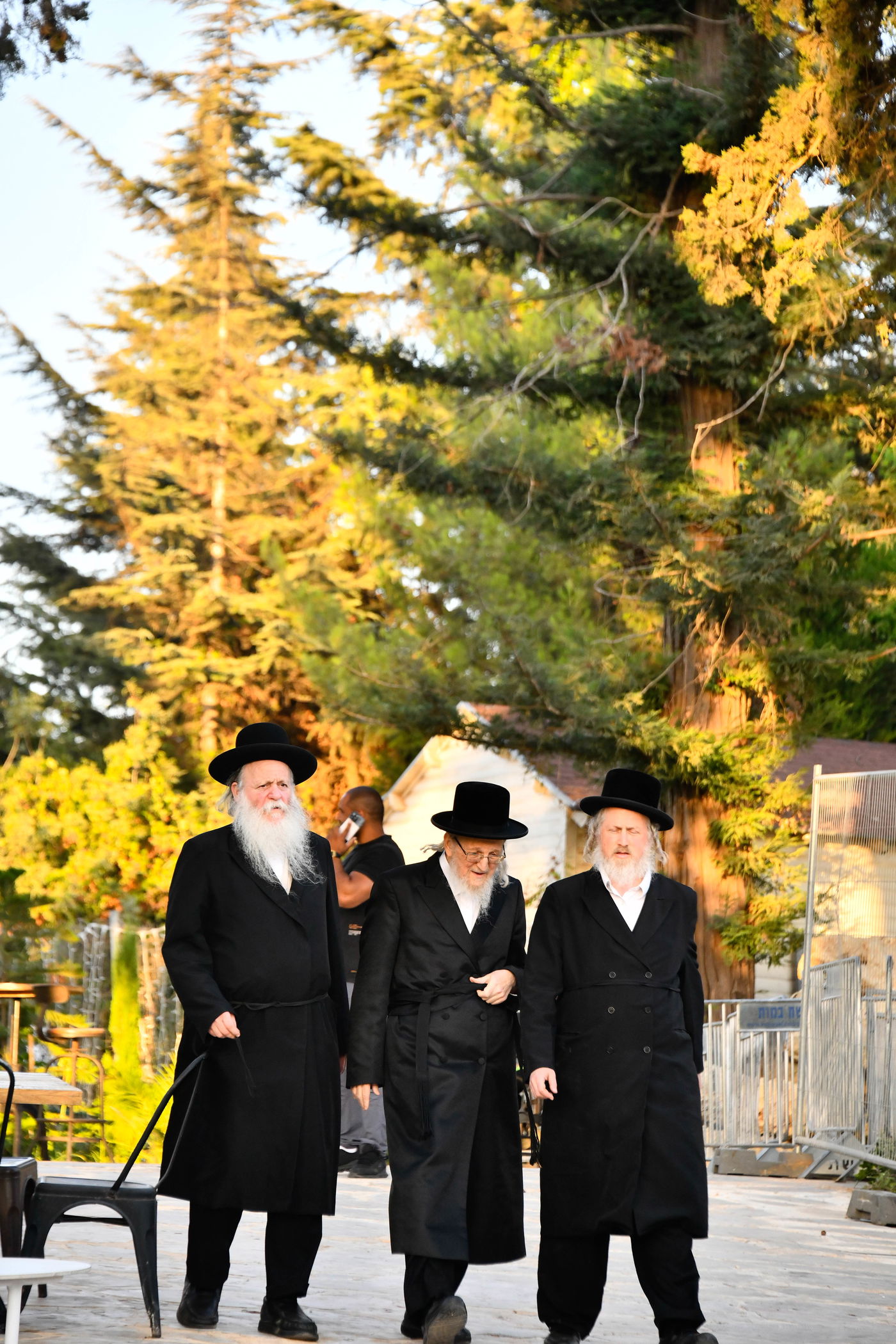 האדמו"רים בנאות דשא במעלה החמישה